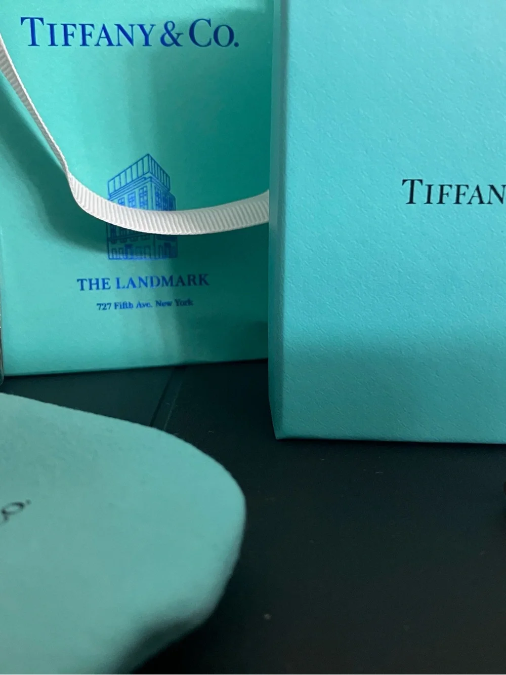 Tiffany & Co. Silver Earrings w/All Original Packaging
